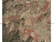 Terreno Rústico, Tinalhas, Castelo Branco | BPI Expresso... Terreno Rústico, Tinalhas, Castelo Branco | BPI Expresso...