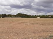 TERRENO RÚSTICO URBANIZABLE A POCA DISTANCIA DE LA POBLACIÓN