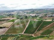 Terreno Rústico Urbanizável