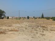 Terreno rustico urbanizável Montijo
