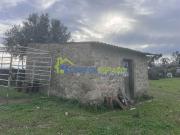Terreno Rústico Venda em Alcains,Castelo Branco