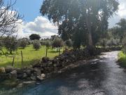 Terreno Rústico Venda em Beirã,Marvão