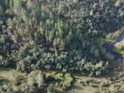 Terreno Rústico Venda em Castelo Branco,Castelo Branco