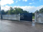 Terreno Rústico Venda em Margem,Gavião