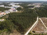 Terreno Rústico Venda em Marinha Grande,Marinha Grande
