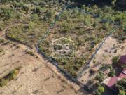 Terreno Rústico Venda em Ninho do Açor e Sobral do...