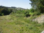 Terreno Rústico Venda em Sandim, Olival, Lever e... Terreno Rústico Venda em Sandim, Olival, Lever e...