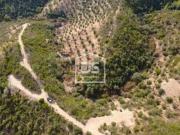 Terreno Rústico Venda em Sarzedas,Castelo Branco