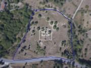 Terreno Rústico Venda em Trancoso São Pedro e Santa... Terreno Rústico Venda em Trancoso São Pedro e Santa...