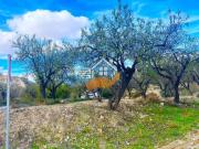 Terreno Rústico Venta Almería