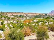 Terreno Rústico Venta Almería