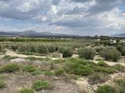 Terreno Rústico Venta Almería