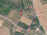 Terreno Rústico Venta Castellón