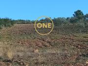Terreno rústico/agrícola com 1,7 hectares, em Argozelo,...