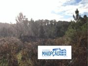Terreno Rústivo em Maceira