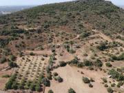 Terreno, São Bartolomeu de Messines