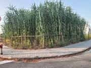 Terreno, São Bernardo, Aveiro | BPI Expresso Imobiliário