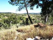 Terreno, São Brás de Alportel