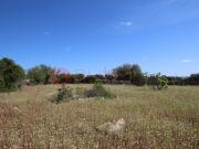 Terreno, São Brás de Alportel, São Brás de Alportel |...
