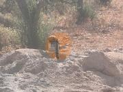 Terreno, São Brás de Alportel, São Brás de Alportel |...