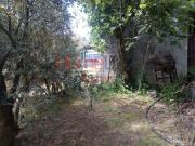 Terreno, São Cipriano e Vil de Souto, Viseu | BPI...