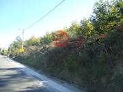 Terreno, São Cipriano e Vil de Souto, Viseu | BPI...