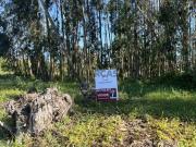 Terreno, São Clemente