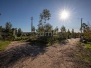 Terreno | São Facundo | Coimbra | 4950m2