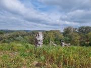 Terreno, São Francisco Da Serra, Santiago do Cacém | BPI...
