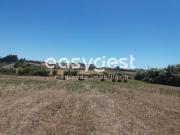 Terreno, São João Das Lampas e Terrugem, Sintra | BPI...