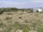 Terreno, São João das Lampas e Terrugem, Sintra | BPI...