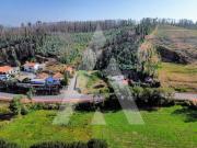 Terreno, São João de Loure e Frossos, Albergaria a Velha...