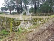 Terreno, São João de Lourosa, Viseu | BPI Expresso...