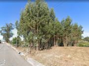 Terreno São João de Ovar