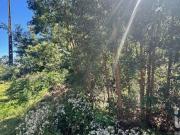 Terreno, São Jorge, Santana | BPI Expresso Imobiliário