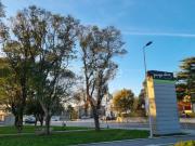 Terreno, São Mamede de Infesta e Senhora Da Hora,...