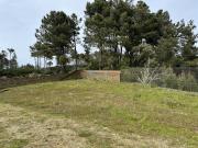 Terreno, São Martinho de Antas e Paradela de Guiães,...