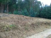 Terreno, São Martinho do Bispo e Ribeira de Frades