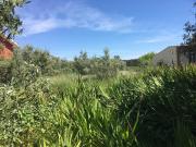 Terreno, São Martinho Do Bispo e Ribeira de Frades,...