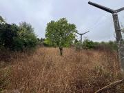 Terreno, São Martinho Do Bispo e Ribeira de Frades,...