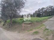 Terreno, São Martinho Do Bispo e Ribeira de Frades,...