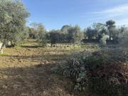 Terreno, São Miguel de Vila Boa, Sátão | BPI Expresso...