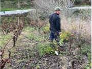Terreno, São Pedro Da Cadeira, Torres Vedras | BPI...