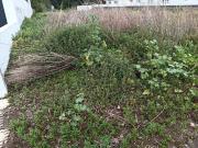 Terreno, São Salvador, Ílhavo | BPI Expresso Imobiliário