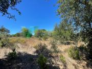 Terreno, São Teotónio, Odemira | BPI Expresso Imobiliário