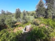 Terreno, São Vicente Da Beira, Castelo Branco | BPI...