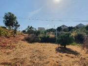 Terreno, São Vicente Da Beira, Castelo Branco | BPI...