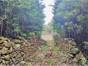 Terreno, São Vicente Ferreira, Ponta Delgada | BPI...