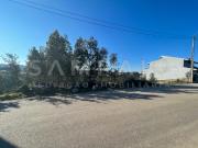 Terreno S. Pedro da Cova!