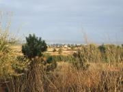 Terreno S. Silvestre em zona de moradias